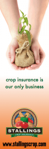 The key here was finding an eye catching image that succinctly communicates the mission of the organization.