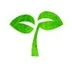 sprout sprout