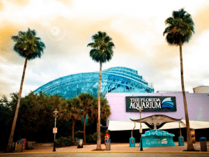 Screen Shot 2014-06-13 at 12.18.27 PM